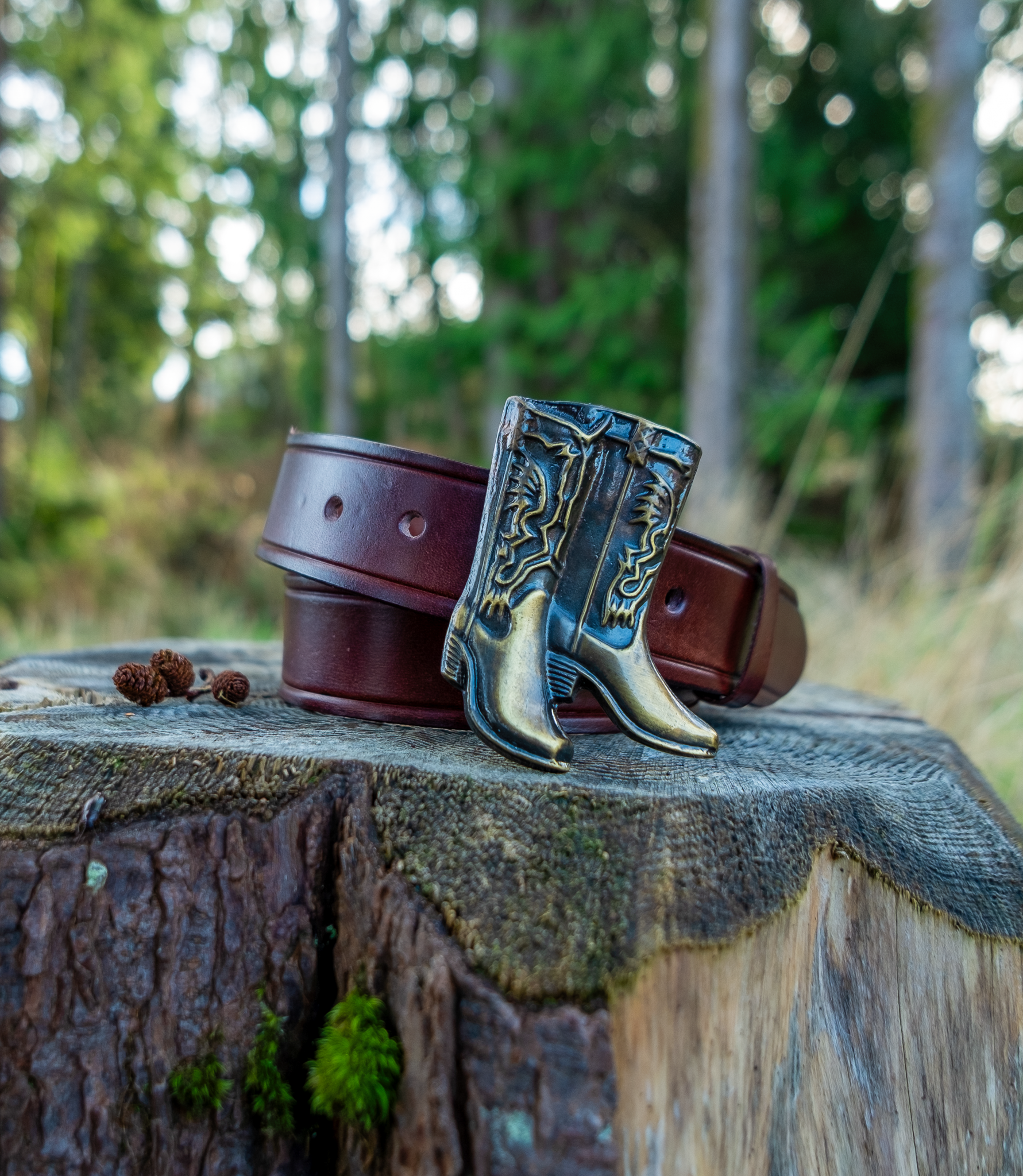 VI. Pair of Boots